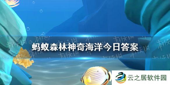 以下哪种鲨鱼遇到危险时会吸水膨胀 神奇海洋12月29日答案